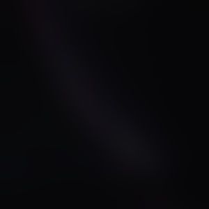 Meet your Posher, Dwight